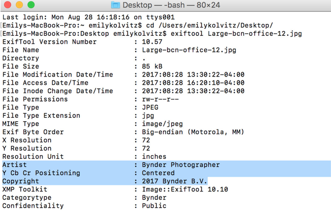 Embedded metadata bynder 3