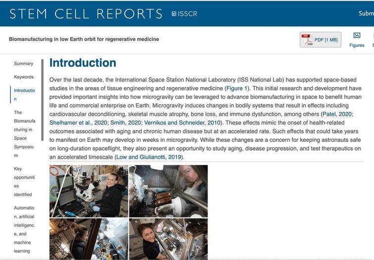 Technical writing stem cells report