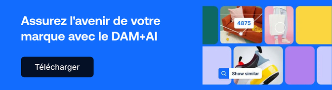 FR Guide Future proof your brand with DAM + AI