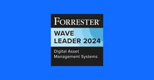 Empowering brands with DAM in the digital-first economy: Insights from the Forrester Wave™ report